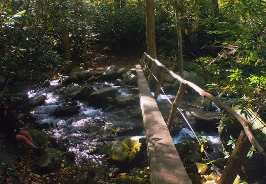 Lower Mt. Cammerer Trail